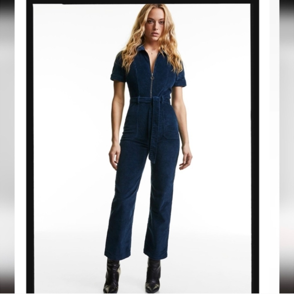 Aritzia Jerry Jumpsuit​